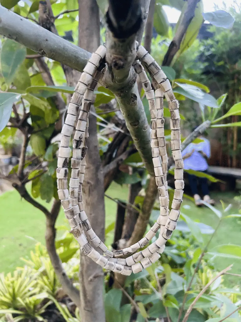Three Round Chitralekha ji tulsi mala.webp