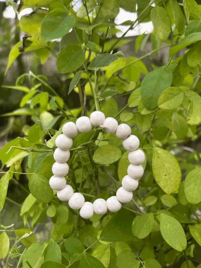 Plain Tulsi Bracelet