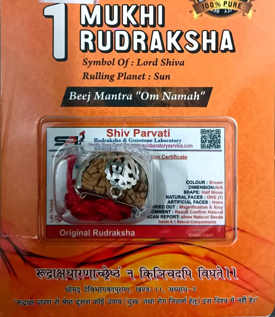 1 Mukhi Rudraksha – The Divine Blessing of Lord Shiva